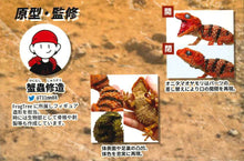 Load image into Gallery viewer, (Gashapon) Genuine 1:1 Gecko and Armadillo Lizard
