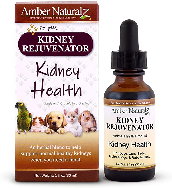Amber Naturalz Kidney Rejuvenator: Safe & reliable kidney health for Pets, 1 Ounce