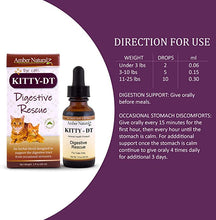 Load image into Gallery viewer, Amber Naturalz Kitty-DT: Digestive Rescue - Botanical for pets - Digestive Support for Felines, 1 Ounce
