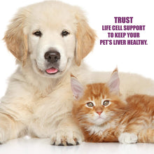 Load image into Gallery viewer, Amber Naturalz Amber Naturalz Life Cell Support: Liver Health - for Pets, 1 Ounce
