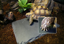 Load image into Gallery viewer, Reptile Flat Slate Stone Rock

