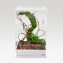 Load image into Gallery viewer, REPTI ZOO Two-Way Acrylic Reptile &amp; Insect Enclosure 12&quot; x 12&quot; x 18&quot;
