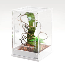 Load image into Gallery viewer, REPTI ZOO Two-Way Acrylic Reptile &amp; Insect Enclosure 12&quot; x 12&quot; x 18&quot;
