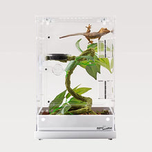 Load image into Gallery viewer, REPTIZOO Two-Way Acrylic Reptile &amp; Insect Enclosure #PACR10
