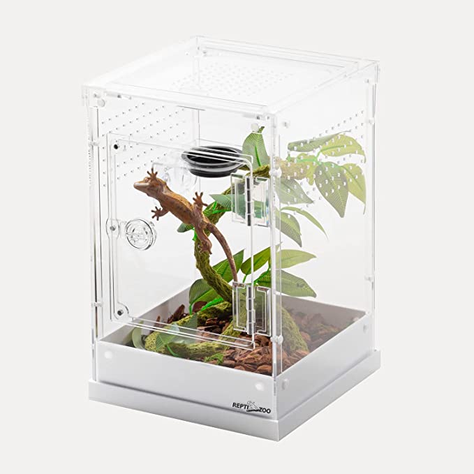 REPTIZOO Two-Way Acrylic Reptile & Insect Enclosure #PACR10