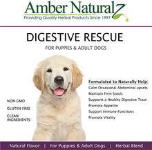 Load image into Gallery viewer, Amber Naturalz Paxaid: Digestive Rescue - for Dogs, 1 Ounce
