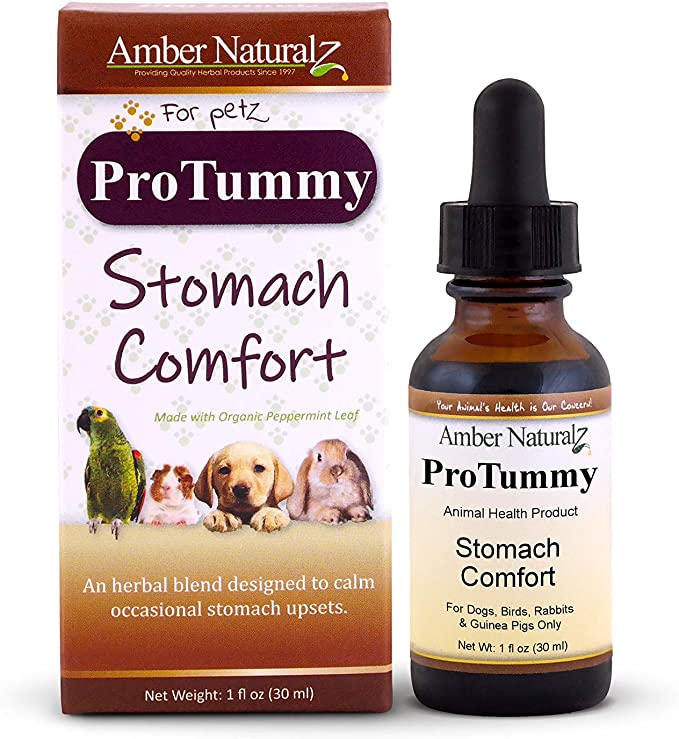 Amber Naturalz ProTummy: Stomach Comfort - Digestive Support for Pets, 1 Ounce