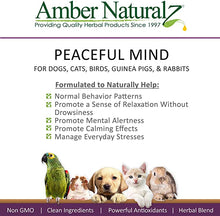 Load image into Gallery viewer, Amber Naturalz Pyntril: Peaceful Mind - for Pets, 1 Ounce
