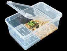 Load image into Gallery viewer, Hinged Lid Horned Frog Stackable Box
