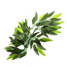 Load image into Gallery viewer, REPTIZOO Terrarium Plants - Heternanthera Zosterifolia 20&quot; #TP001
