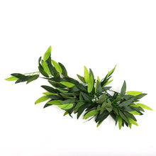 Load image into Gallery viewer, REPTIZOO Terrarium Plants - Heternanthera Zosterifolia 20&quot; #TP001
