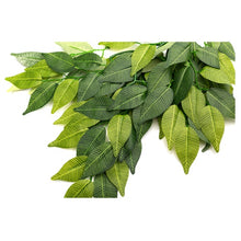 Load image into Gallery viewer, REPTIZOO Terrarium Plants - Banyan Leaves 20&quot; #TP002
