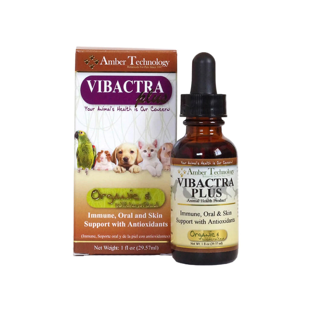 Amber Naturalz Vibactra-Plus: Immune Support Plus for Pets