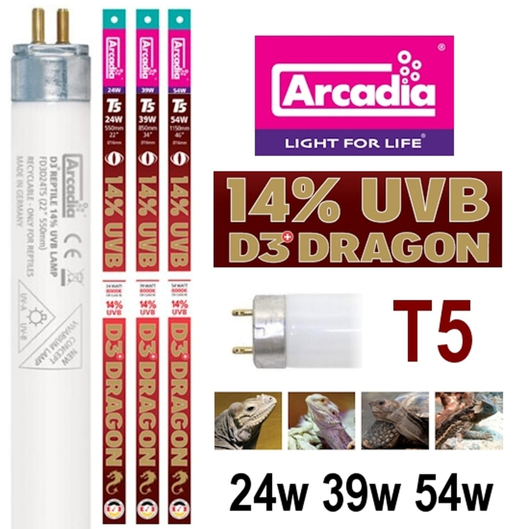 ARCADIA T5 HO Dragon Lamp 14% UVB