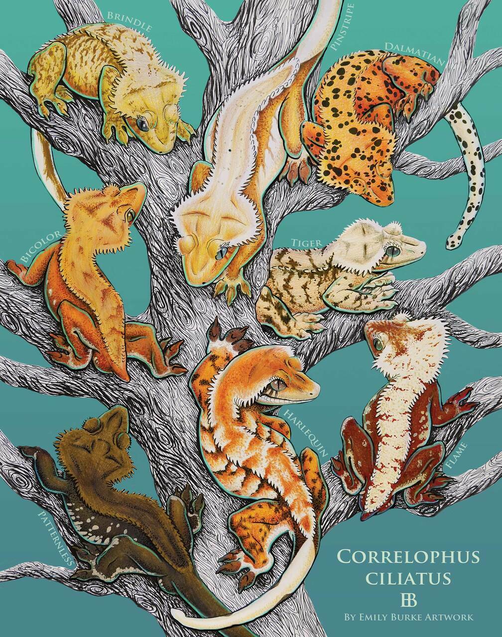 Crested Geckos Print - Emily Burke