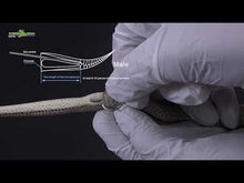Load and play video in Gallery viewer, REPTIZOO Snake Sex Probe Speculum #SE001
