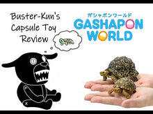 Load and play video in Gallery viewer, (Gashapon)Bandai Gashapon Kame 05 (5 types in total)
