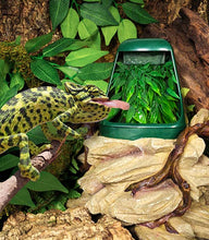 Load image into Gallery viewer, REPTIZOO Reptile Drinking Fountain and Humidifier (Base Only)#DF01-1
