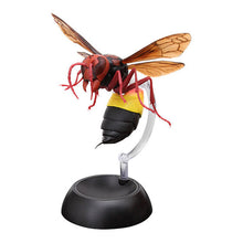 Load image into Gallery viewer, Bandai Creature Encyclopedia - Potter Wasp Complete Set of 4
