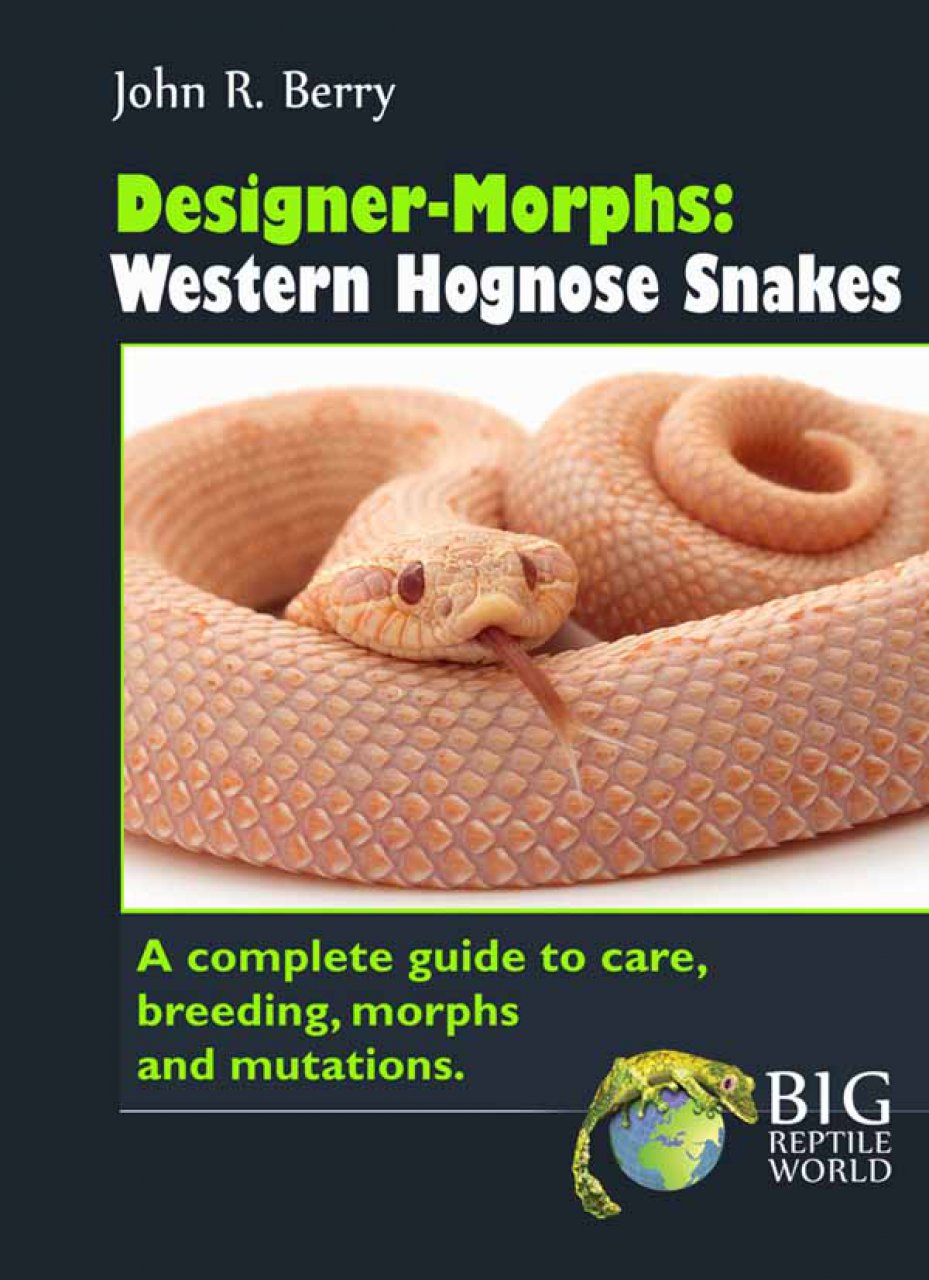 Designer - Morphs Western Hognose Snake