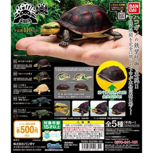 Load image into Gallery viewer, (Gashapon)Bandai Gashapon Kame 04 (5 types in total)
