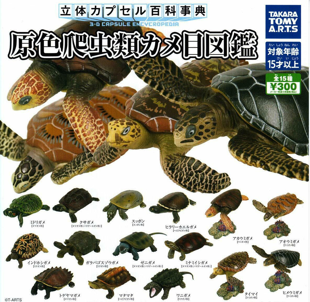 (Gashapon)Reptile Turtle Illustration (15 types in total)